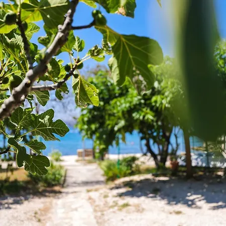 Apartman Malic Petrčane